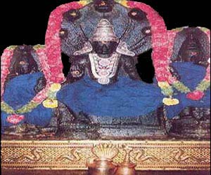 kal sarp dosh, astrologer, astrology, astrology horoscope, chanting mantra, dosha pooja, durga puja ,god, goddess worship , grah puja, graha pooja, graha puja, hindu puja, hindu worship, hinduism worship, horoscope, house puja, jyotish, kaal sarp, kaal sarp dosh, kaal sarp dosha, kaal sarp yog, kaal sarp yoga, kaal sarpa dosha, kaal sarpa yog, kaal sarpa yoga, kal sarp, kal sarp dosh, kal sarp dosha, kal sarp puja, kal sarp yog, kal sarp yoga,kal sarpa dosh, kal sarpa dosha, kal sarpa yog, kal sarpa yoga, kalsarp dosh, kalsarp puja, kalsarp yog, kalsarpa, kethu, kethu dosha, kethu pooja, ketu astrology, ketu dasa, ketu dasha, ketu dosh, ketu dosha, ketu dosham, ketu mahadasa, ketu mahadasha,ketu mantra, ketu pooja, ketu puja, ketu rahu, ketu remedies, ketu yantra, kuja, kuja dosham, lal kitab rahu, live worship, mahadasa, mantra, nadi dosh, navagraha pooja, 